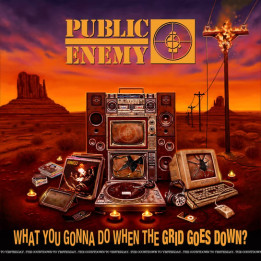 Public Enemy - What You Gonna Do When The Gird Goes Down? (CD)