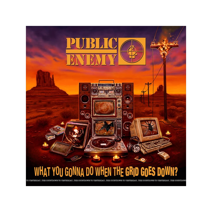 Public Enemy - What You Gonna Do When The Gird Goes Down? (CD)