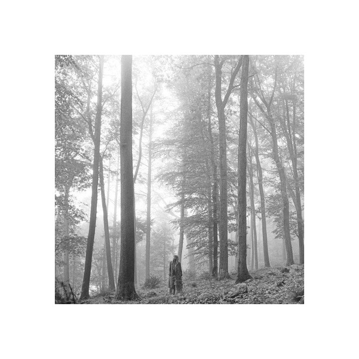 Swift Taylor - Folklore (2LP)