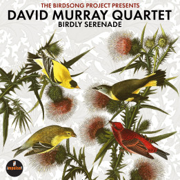 Murray David Quartet - Birdly Serenade (2LP)