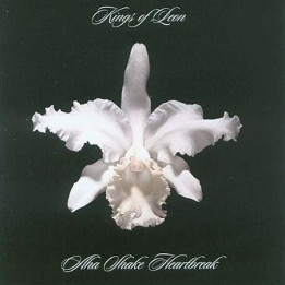 Kings Of Leon - Aha Shake Heartbreak (2LP)