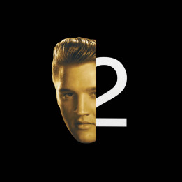 Presley Elvis - 2nd To None (2LP Gold)