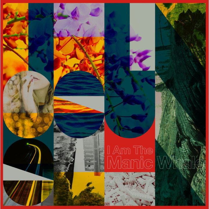 I Am The Manic Whale -  Things Unseen (2LP)
