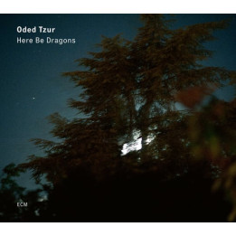 Tzur Oded - Dragons (LP)