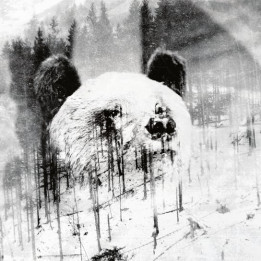 Niechęć  - Unsubscrible (CD)