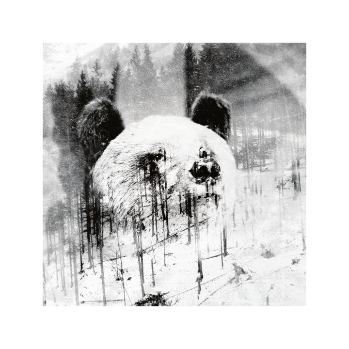 Niechęć  - Unsubscrible (CD)