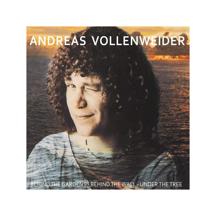 Vollenweider Andreas - Behind The Gardens (CD)