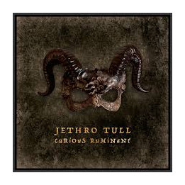 Jethro Tull - Curious Ruminant (CD)