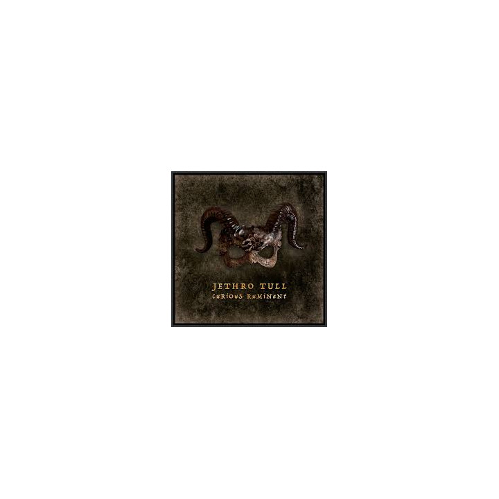 Jethro Tull - Curious Ruminant (CD)