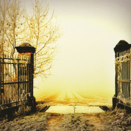 Logos - L'Enigma Della Vita Deluxe Edition (2CD)