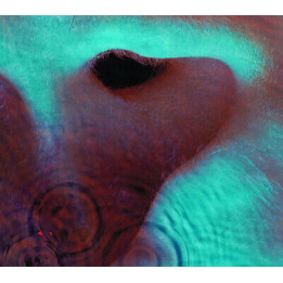 Pink Floyd - Meddle (CD)