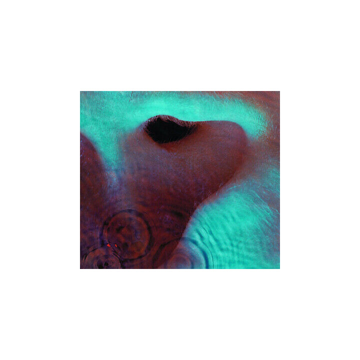 Pink Floyd - Meddle (CD)