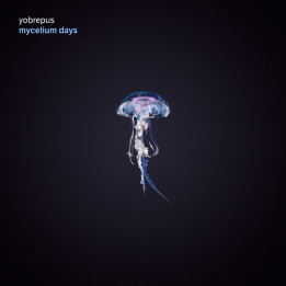 Yobrepus - Mycelium Days (LP)