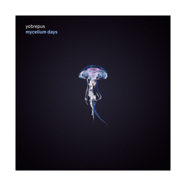 Yobrepus - Mycelium Days (LP)