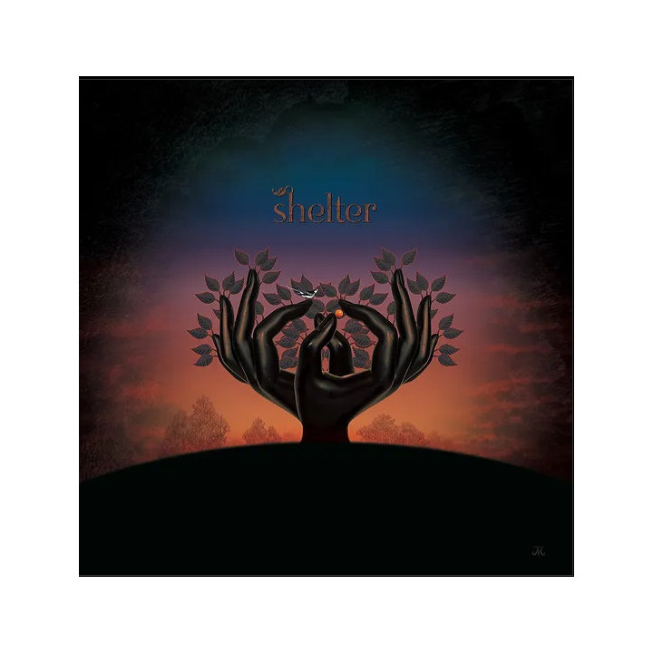 Laughing Stock - Shelter (LP)
