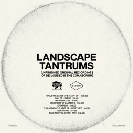 Mars Volta - Landscape (LP)