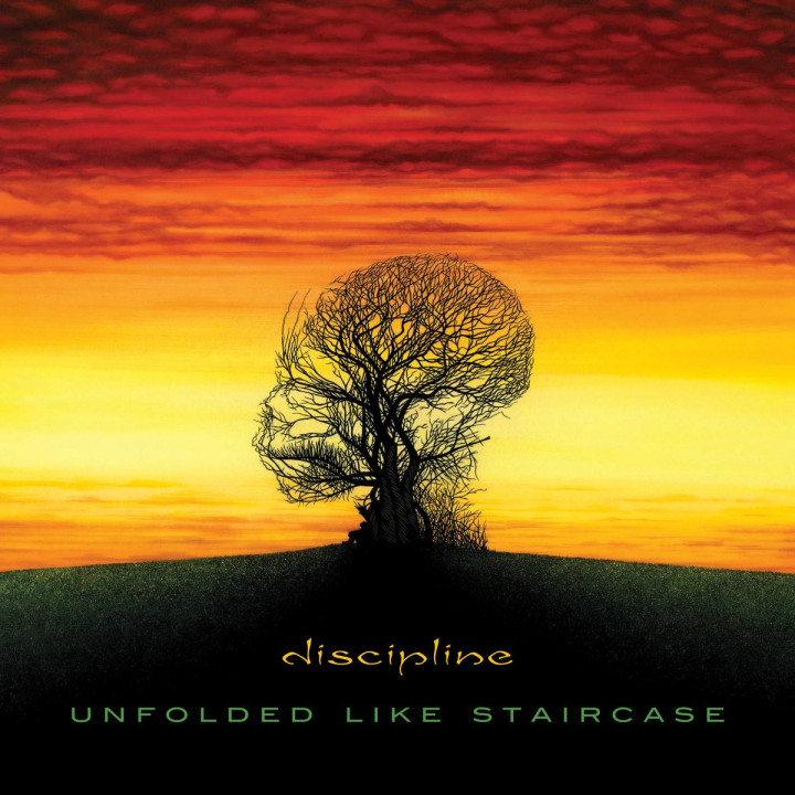 Discipline - Unfolded Like Staircase (Uszkodzona okładka/wkładka) (2LP Red)