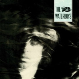 Waterboys The - The Waterboys (LP)