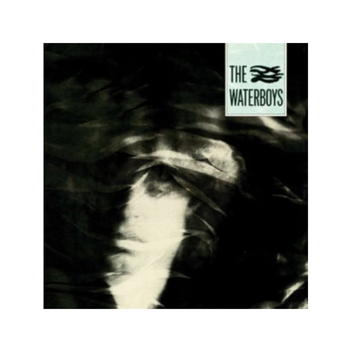 Waterboys The - The Waterboys (LP)