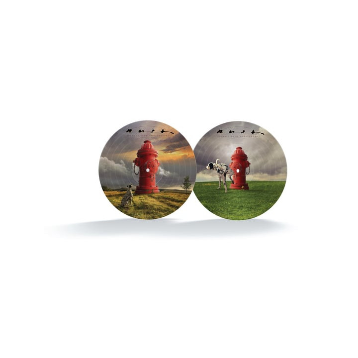 Rush - Signals (Picture Vinyl) (LP)