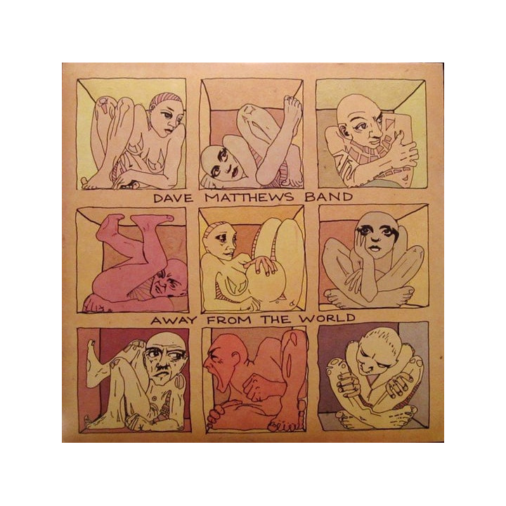 Dave Matthews Band - Away From The World (2LP)