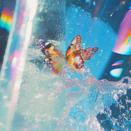 Daphni (CARIBOU) - Butterfly (CD)