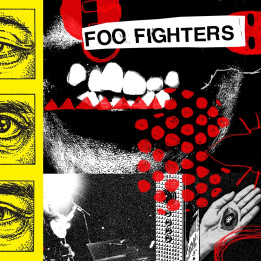 Foo Fighters - Your Favourite Toy (LP)