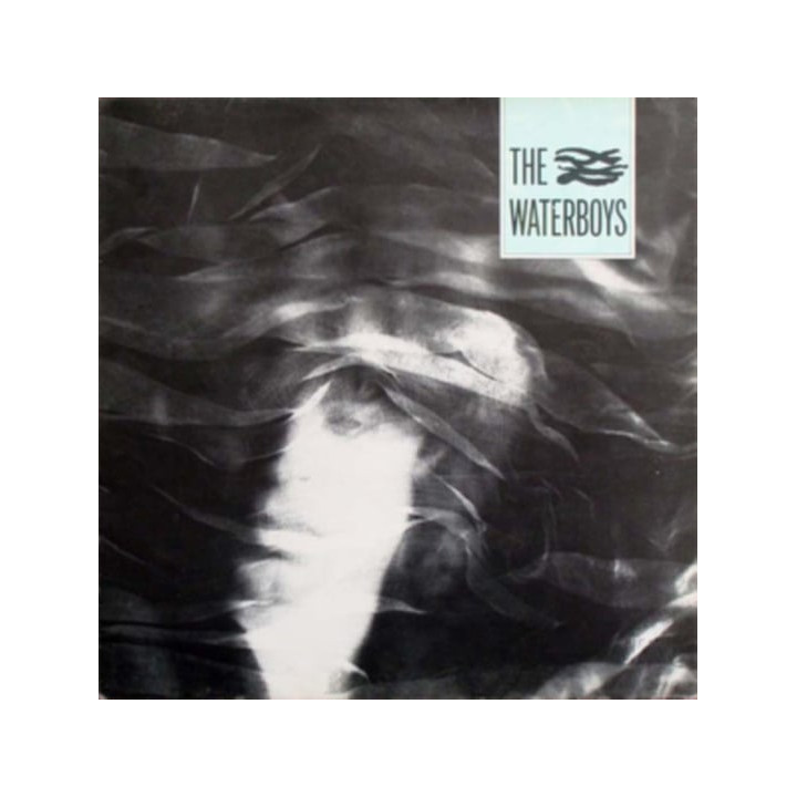 Waterboys The - The Waterboys (CD)