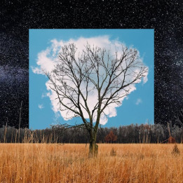 Fink - Bloom Innocent (CD)