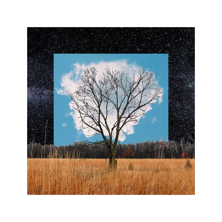 Fink - Bloom Innocent (CD)
