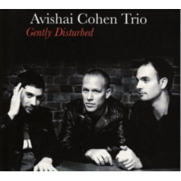 Cohen Avishai Trio - Gently Disturbed (LP)