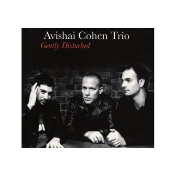 Cohen Avishai Trio - Gently Disturbed (LP)