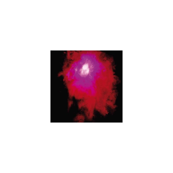 Porcupine Tree - Up The Downstair (CD)