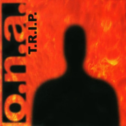O.N.A. - T.R.I.P (CD)