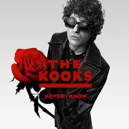 Kooks The - Never Know (LP)