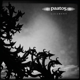 Paatos - Ligament (LP)