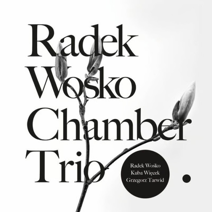 Wośko Radek - Radek Wośko Chamber Trio (CD)