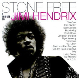 Various - Stone Free: Jimi Hendrix Tribute (Rsd) (2LP)