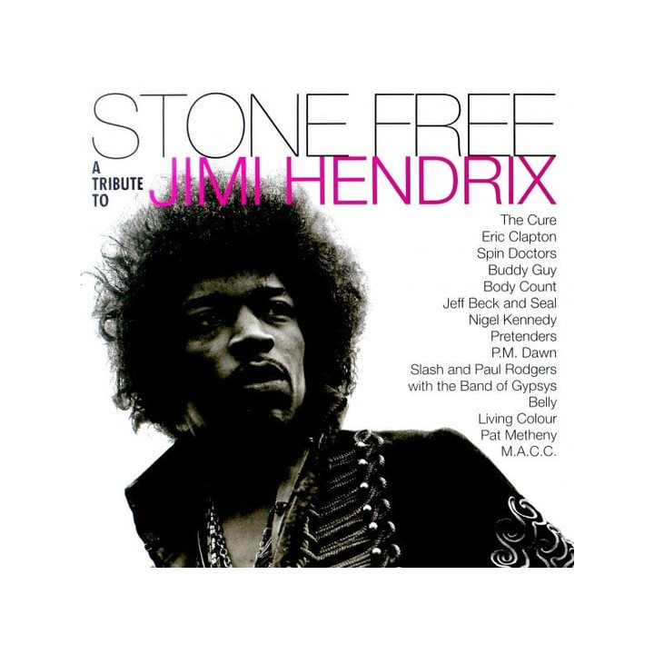 Various - Stone Free: Jimi Hendrix Tribute (Rsd) (2LP)