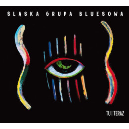 Śląska Grupa Bluesowa - Tu I Teraz (LP)