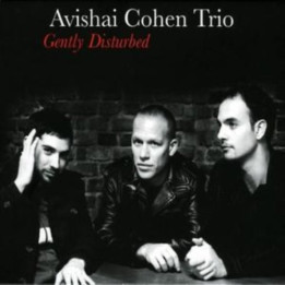 Cohen Avishai Trio - Gently Disturbed (CD)