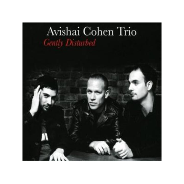 Cohen Avishai Trio - Gently Disturbed (CD)