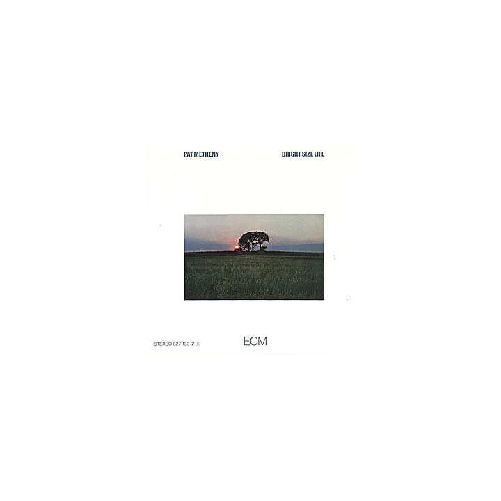 Metheny Pat - Bright Size Life (CD)