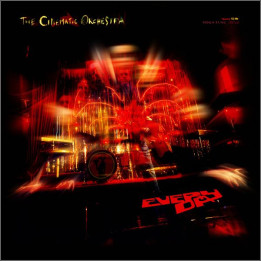 Cinematic Orchestra The - Every Day (2LP)