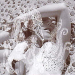 Bjork - Vespertine (2LP)
