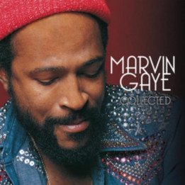 Gaye Marvin - Collected (2LP)