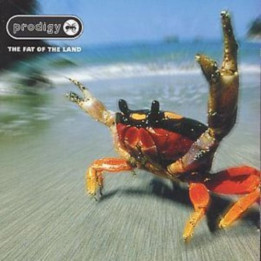 Prodigy The - The Fat Of The Land (CD)