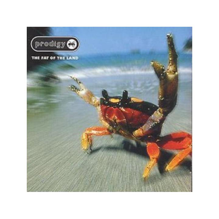 Prodigy The - The Fat Of The Land (CD)