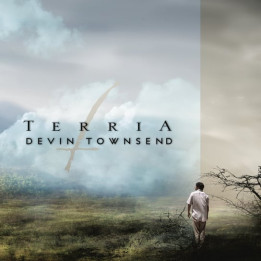 Townsend Devin - Terria (Reissue 2024) (2LP)
