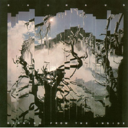 Bauhaus - Burning From The Inside (LP)
